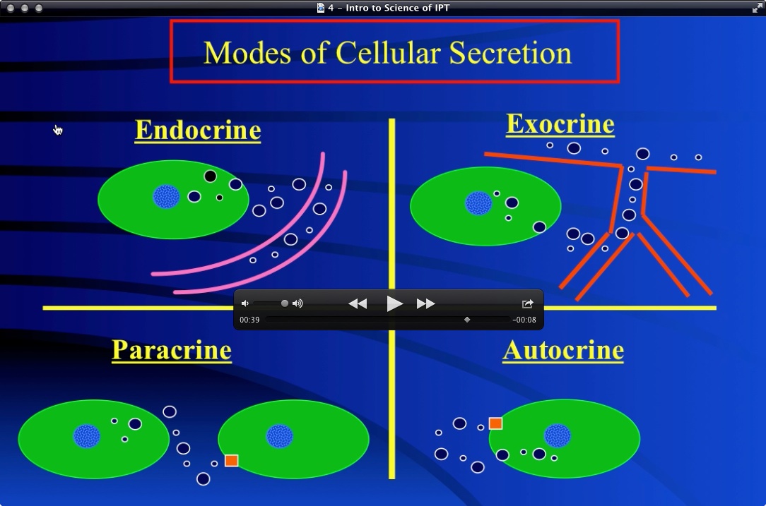Modes of Cellular Secretion